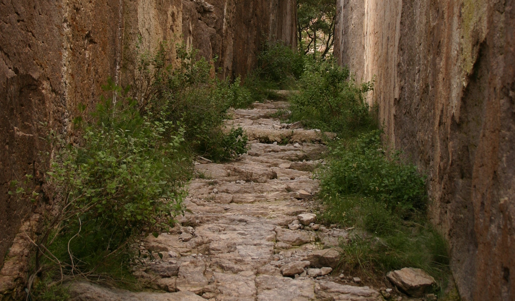 Remant Pathway